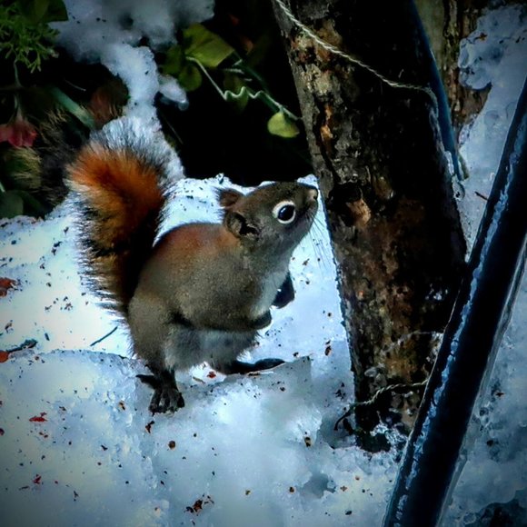 Meet your Posher, Sarah - Picture 9 of 9